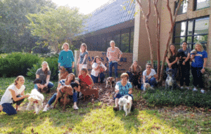 JMCO employees with their dogs outside the office