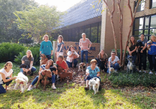 JMCO employees with their dogs outside the office